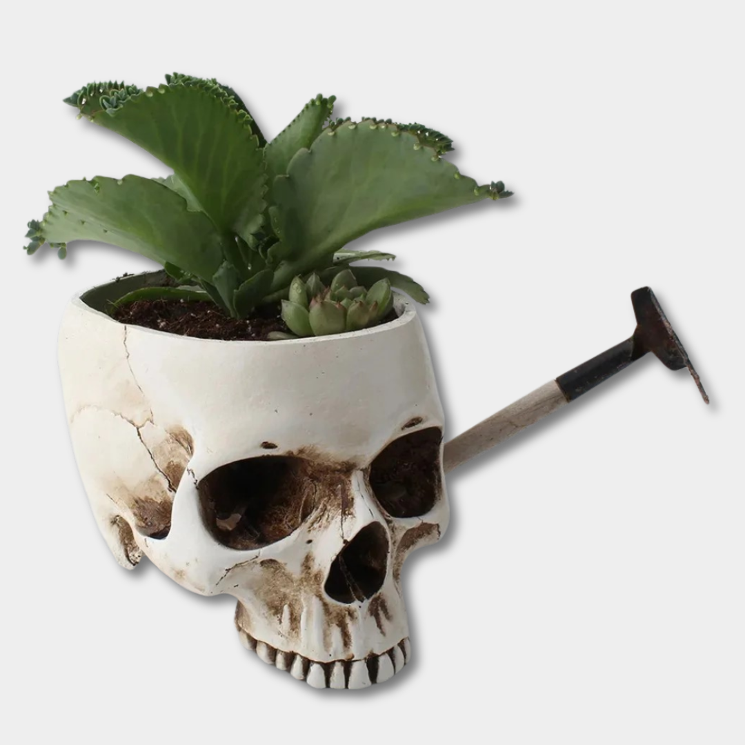 Devil Plant Pot