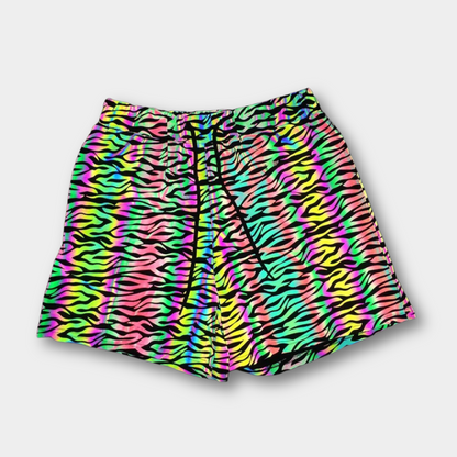 Fae Reflective Shorts